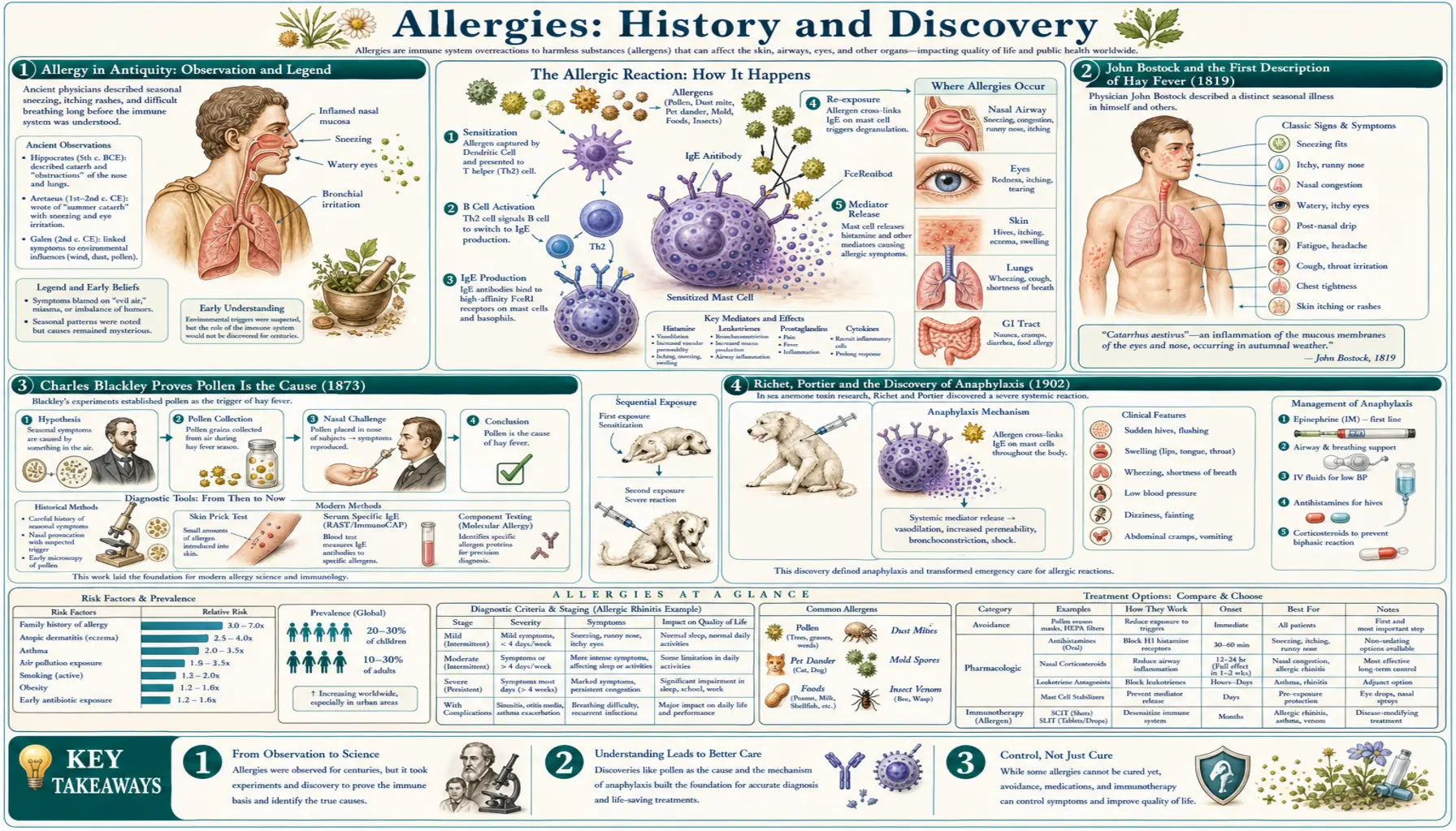 History — scientific infographic poster