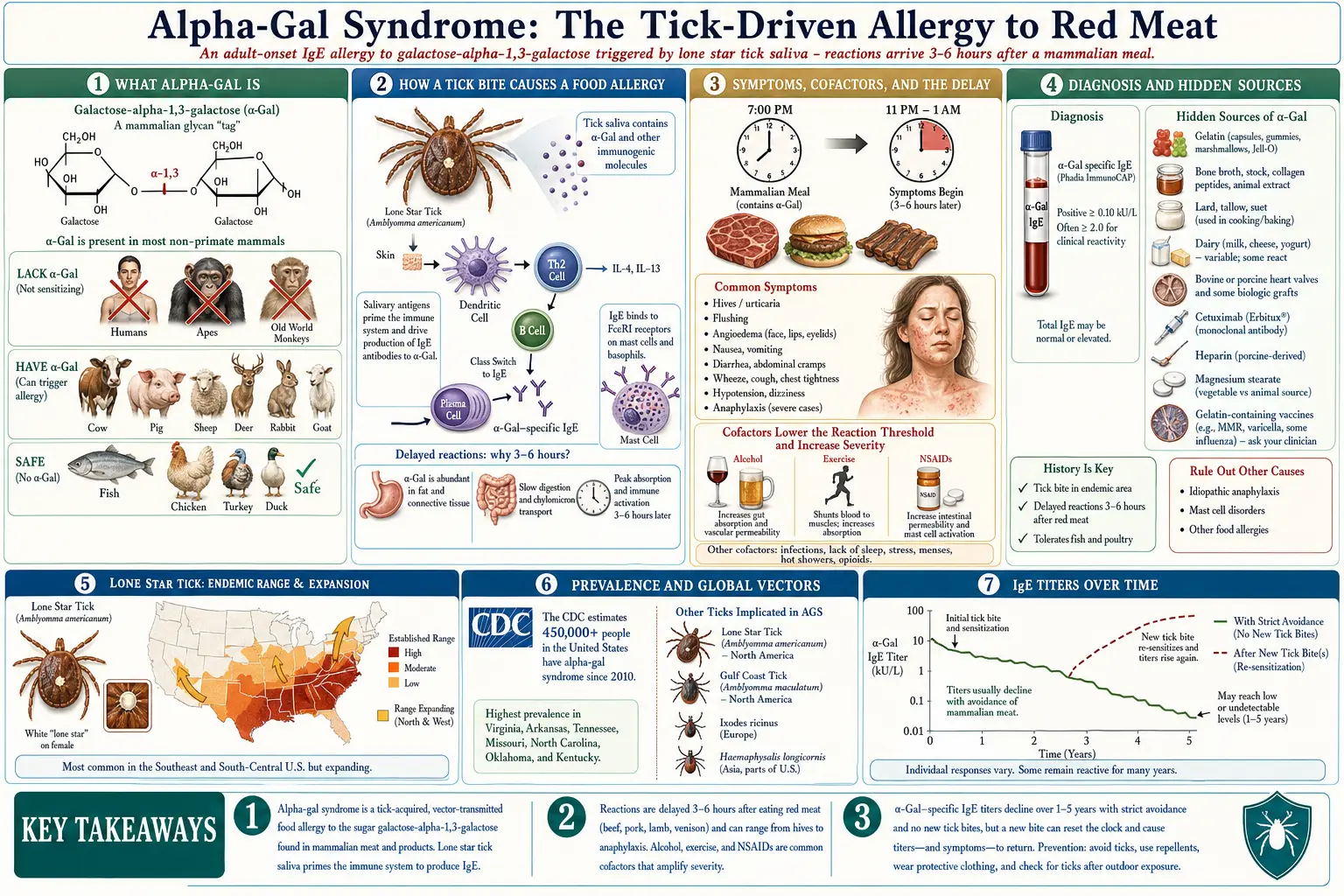 Alpha Gal Syndrome — scientific infographic poster