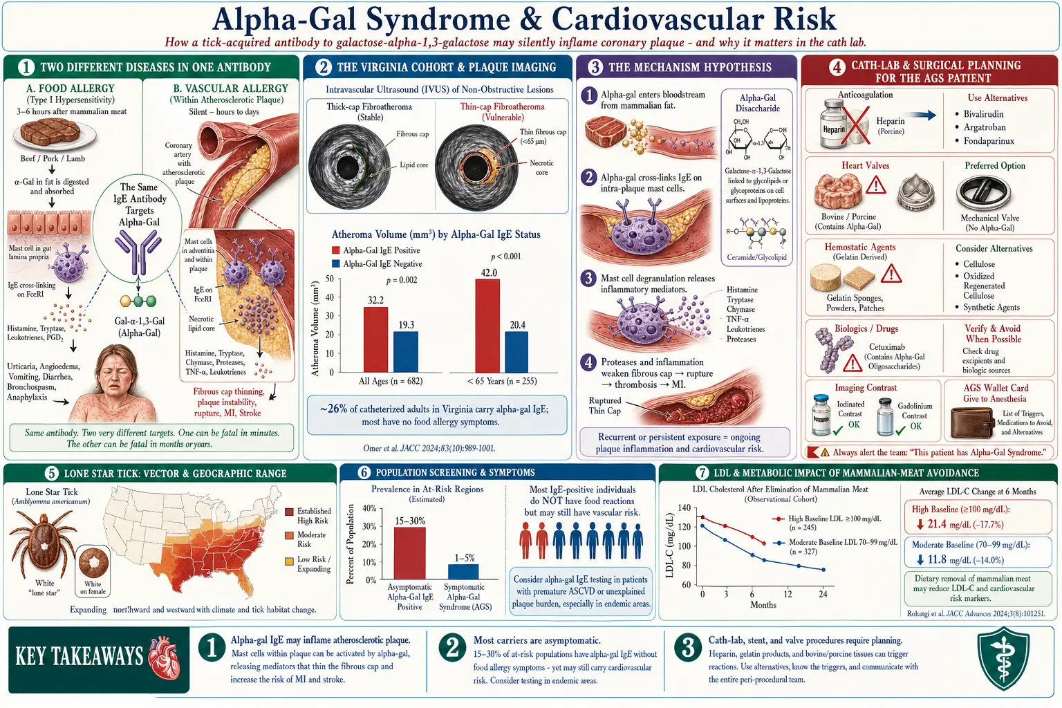 Alpha Gal and Cardiovascular Risk — scientific infographic poster