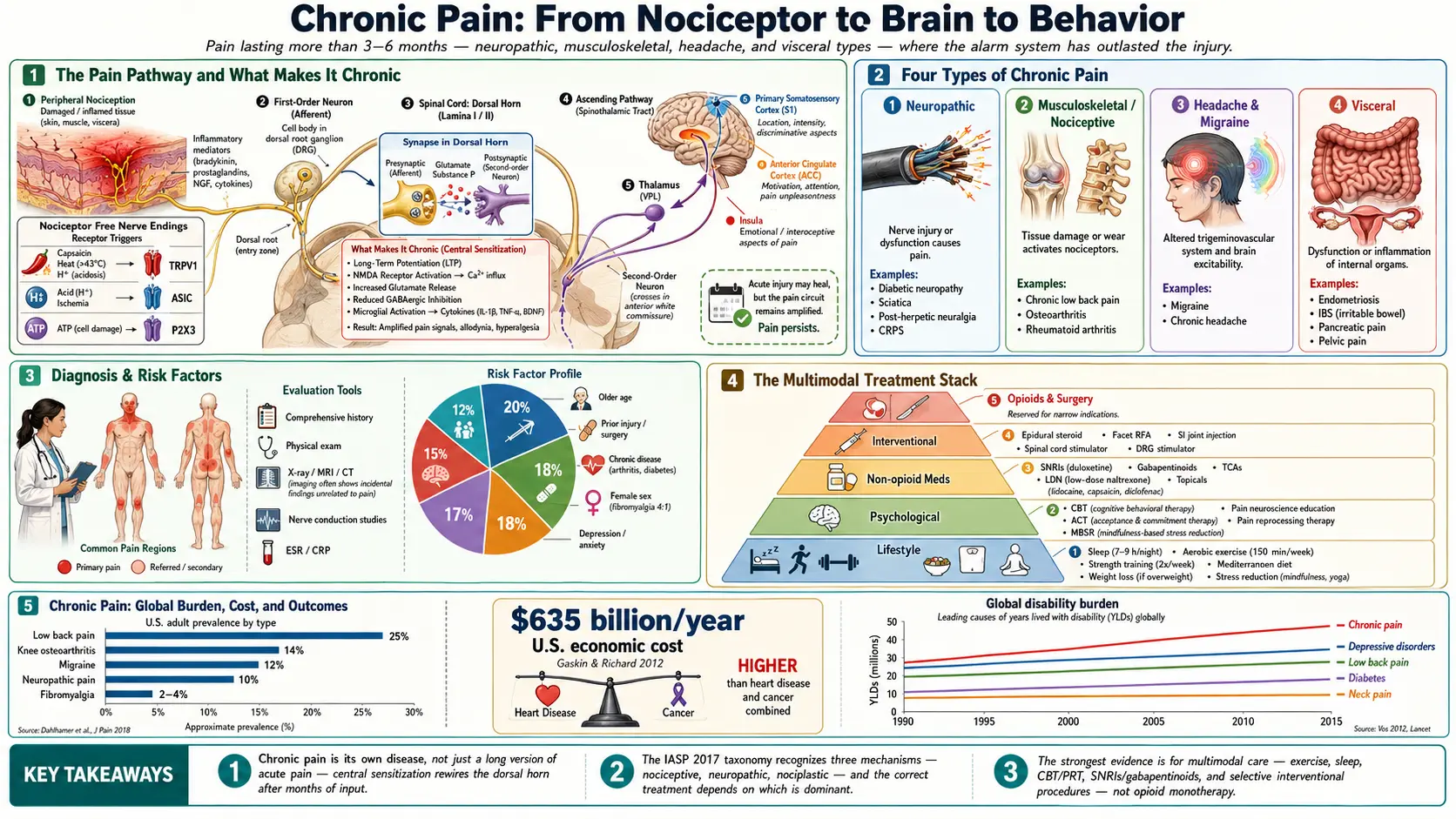 Chronic Pain — scientific infographic poster