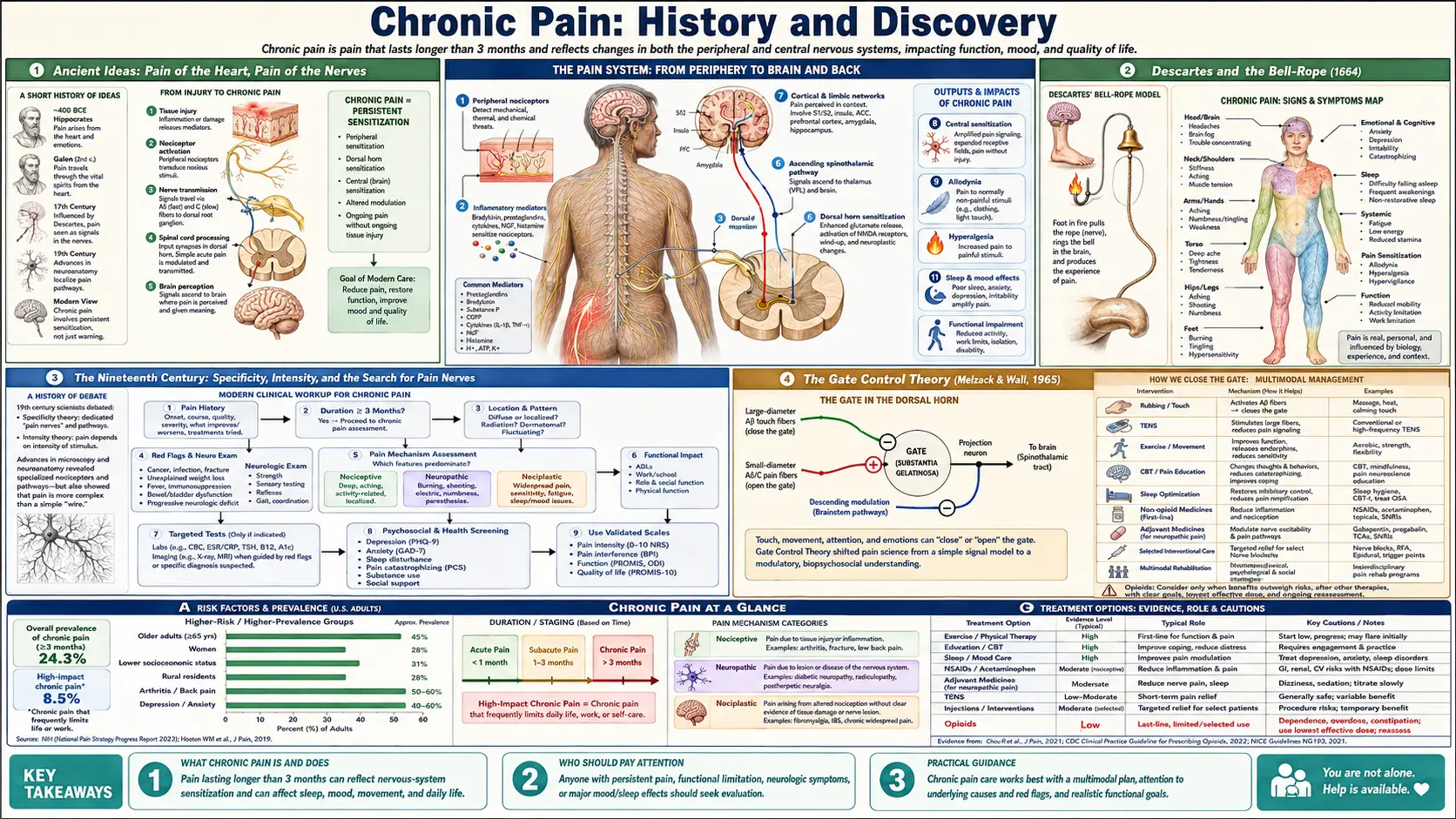 History — scientific infographic poster