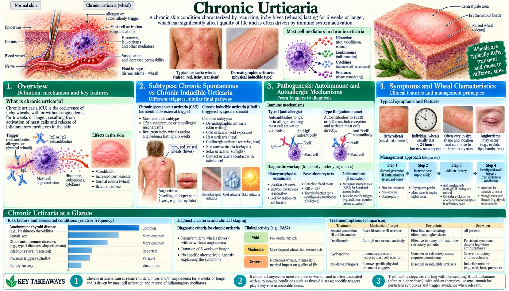 Chronic Urticaria — scientific infographic poster