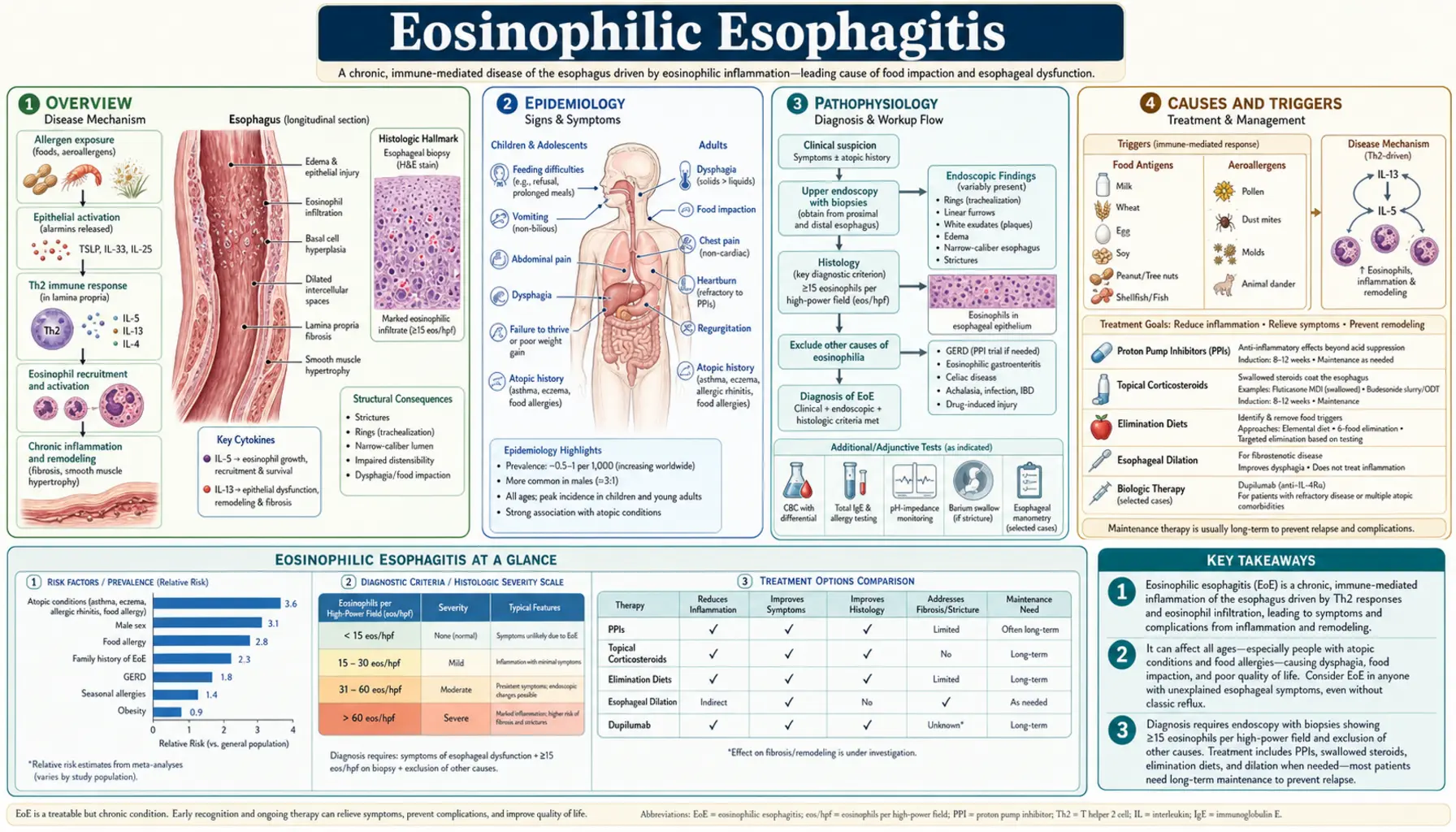 Eosinophilic Esophagitis — scientific infographic poster