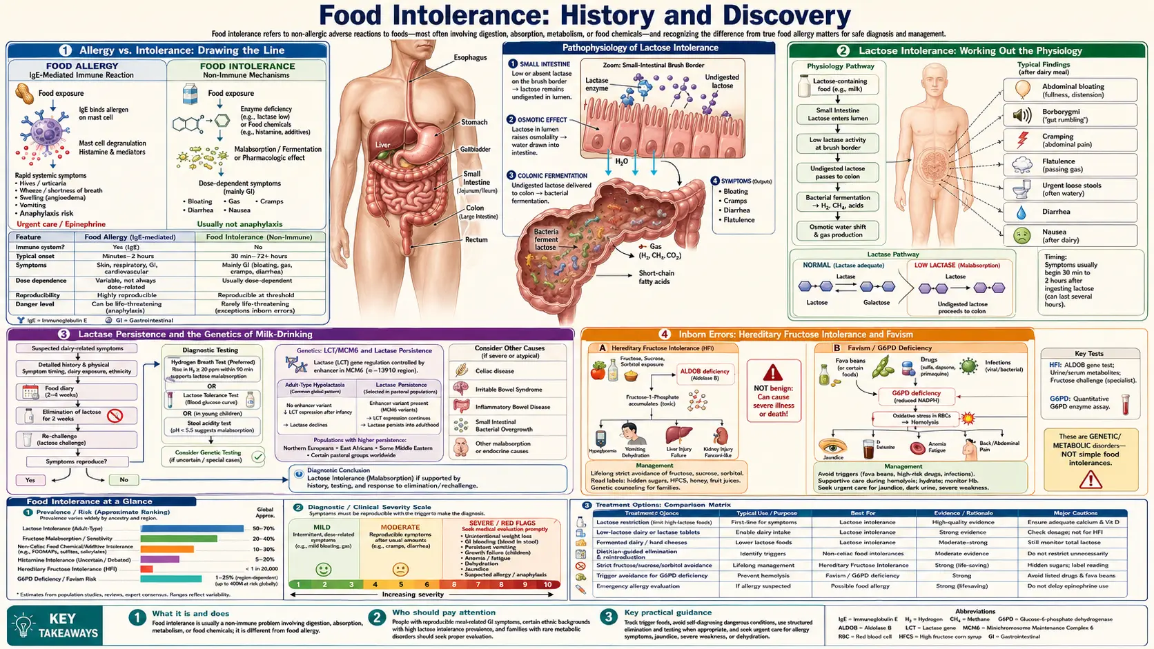 History — scientific infographic poster