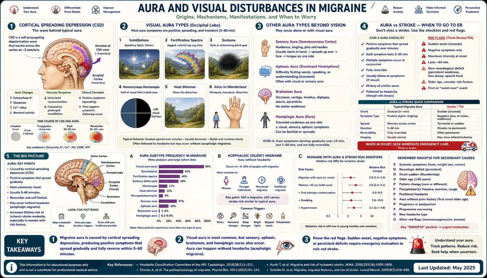 Aura and Visual Disturbances — scientific infographic poster