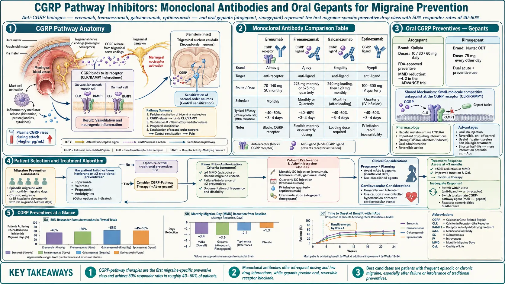 CGRP Inhibitors and Preventives — scientific infographic poster