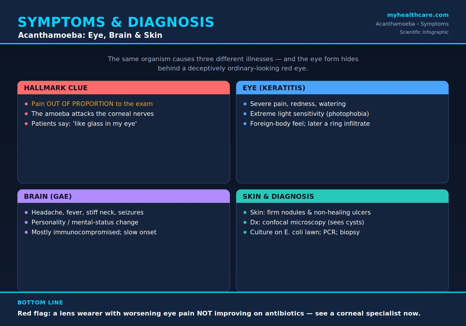 Acanthamoeba symptoms and diagnosis — scientific infographic poster
