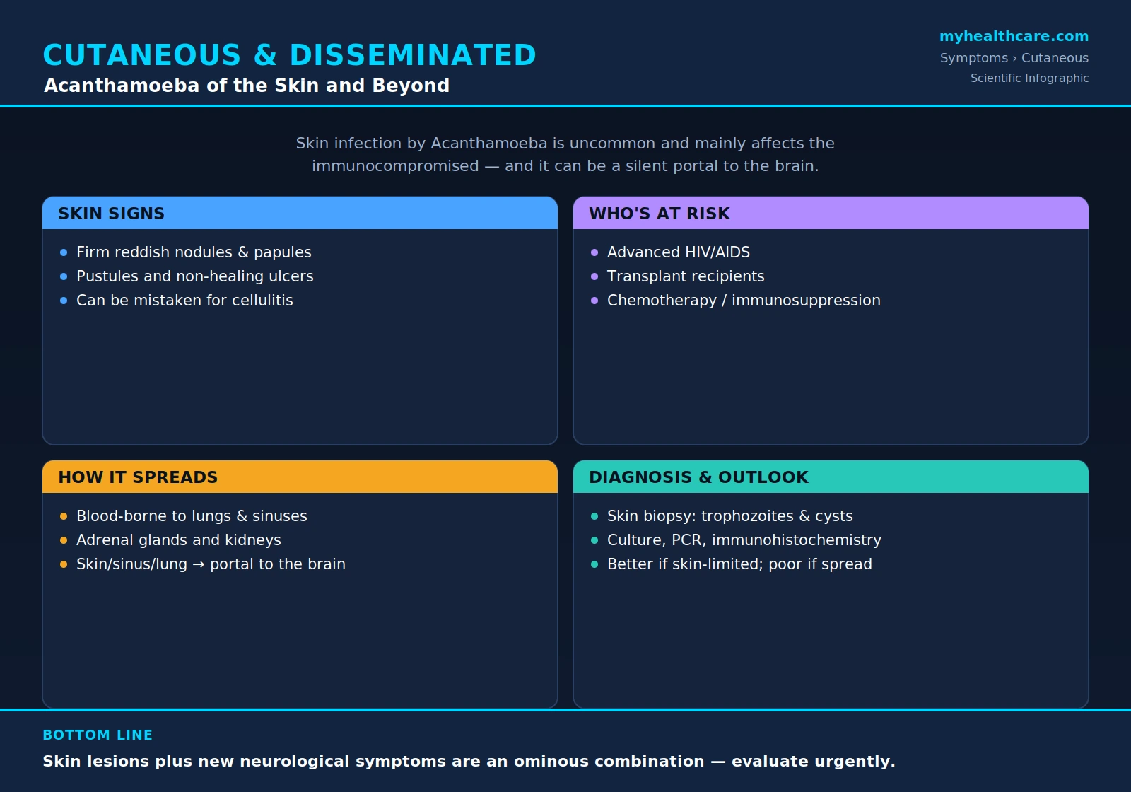 Cutaneous and disseminated Acanthamoeba infection — scientific infographic poster