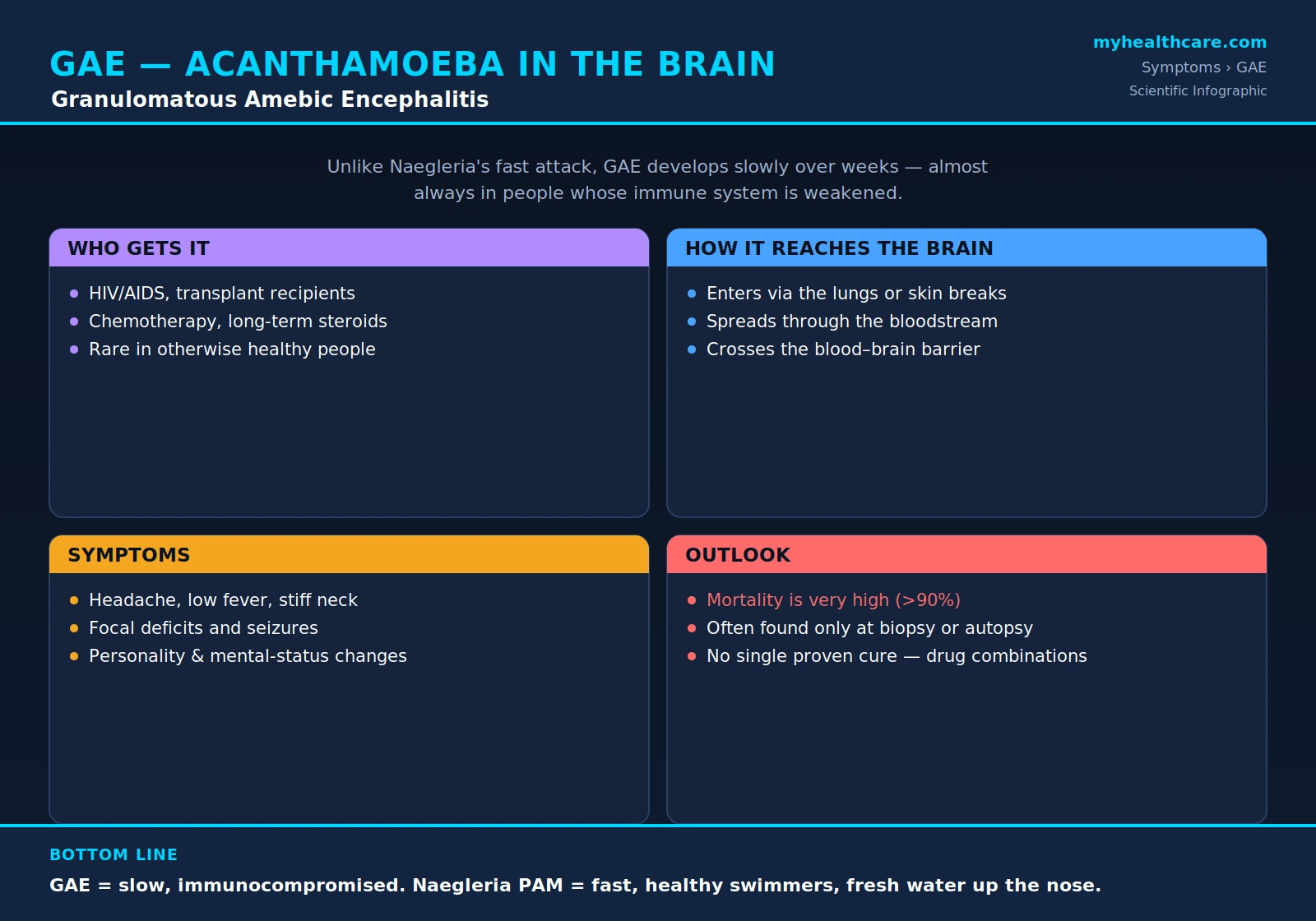 Granulomatous amebic encephalitis — scientific infographic poster