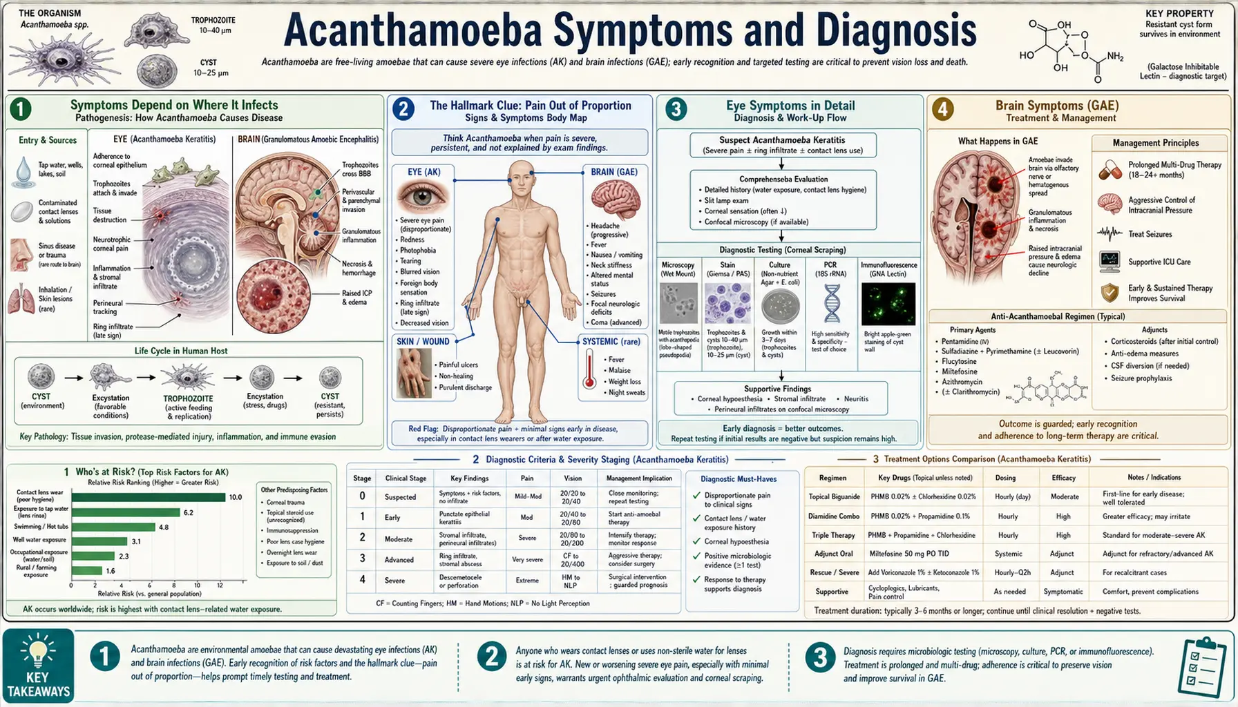 Acanthamoeba symptoms and diagnosis — scientific infographic poster