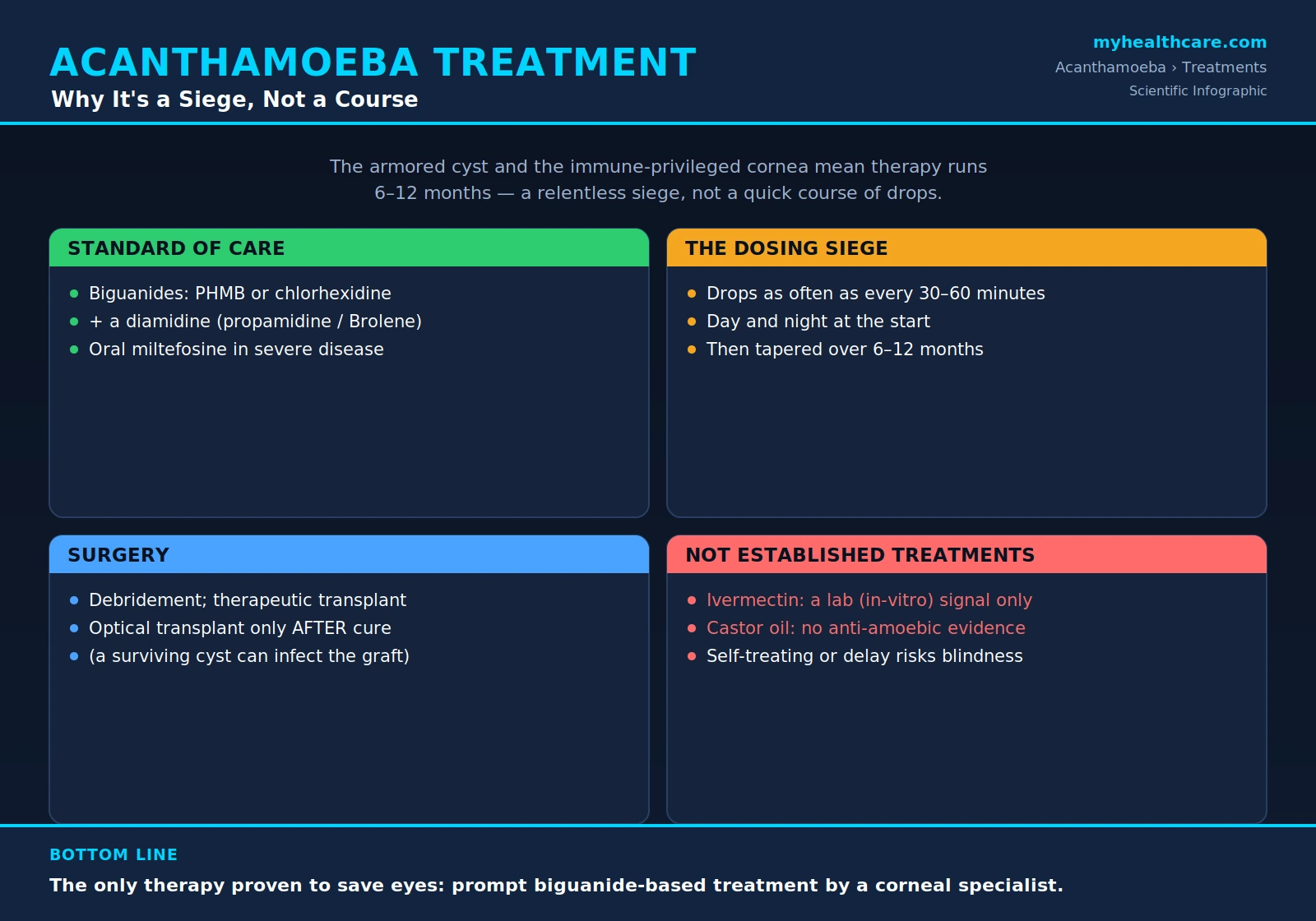 Acanthamoeba treatment — scientific infographic poster