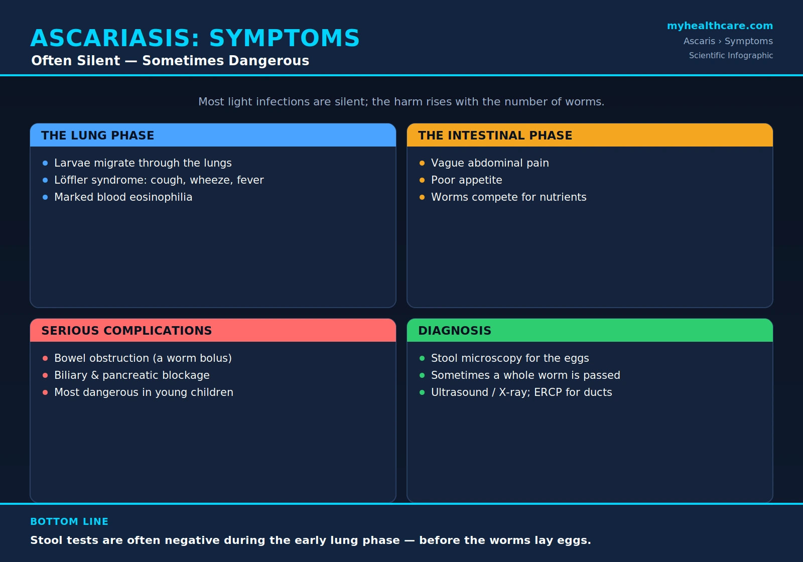 Ascariasis symptoms and diagnosis — scientific infographic poster