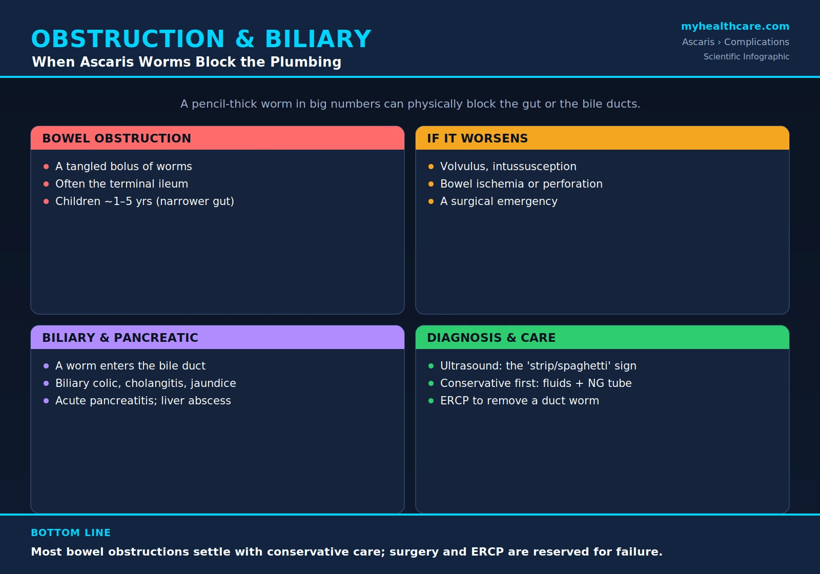 Intestinal obstruction and biliary complications of ascariasis — scientific infographic poster