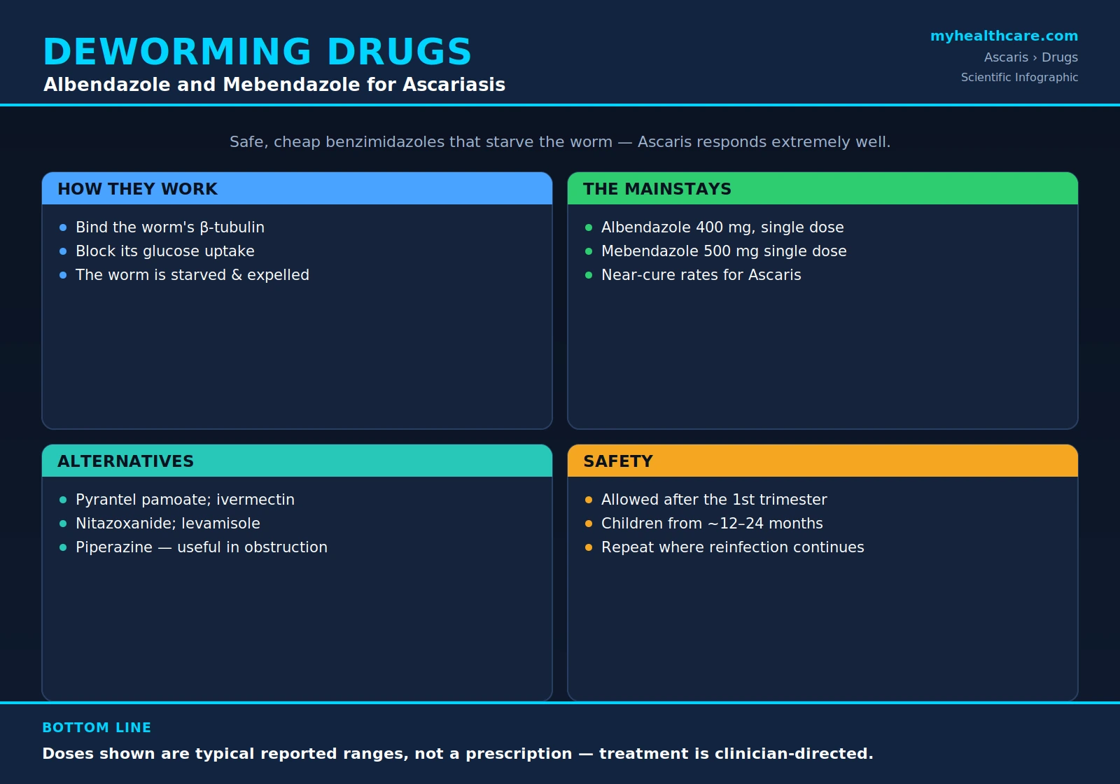 Anthelmintic treatment of ascariasis — scientific infographic poster