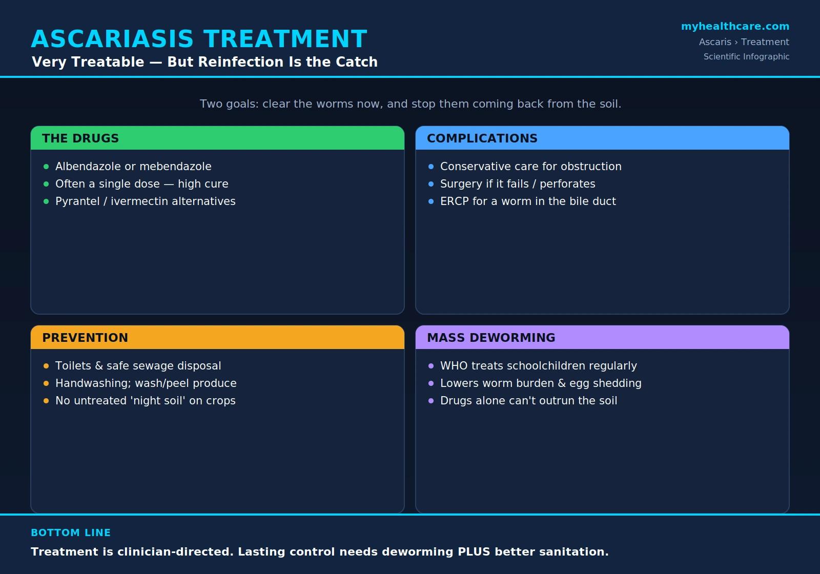 Ascariasis treatment and prevention — scientific infographic poster