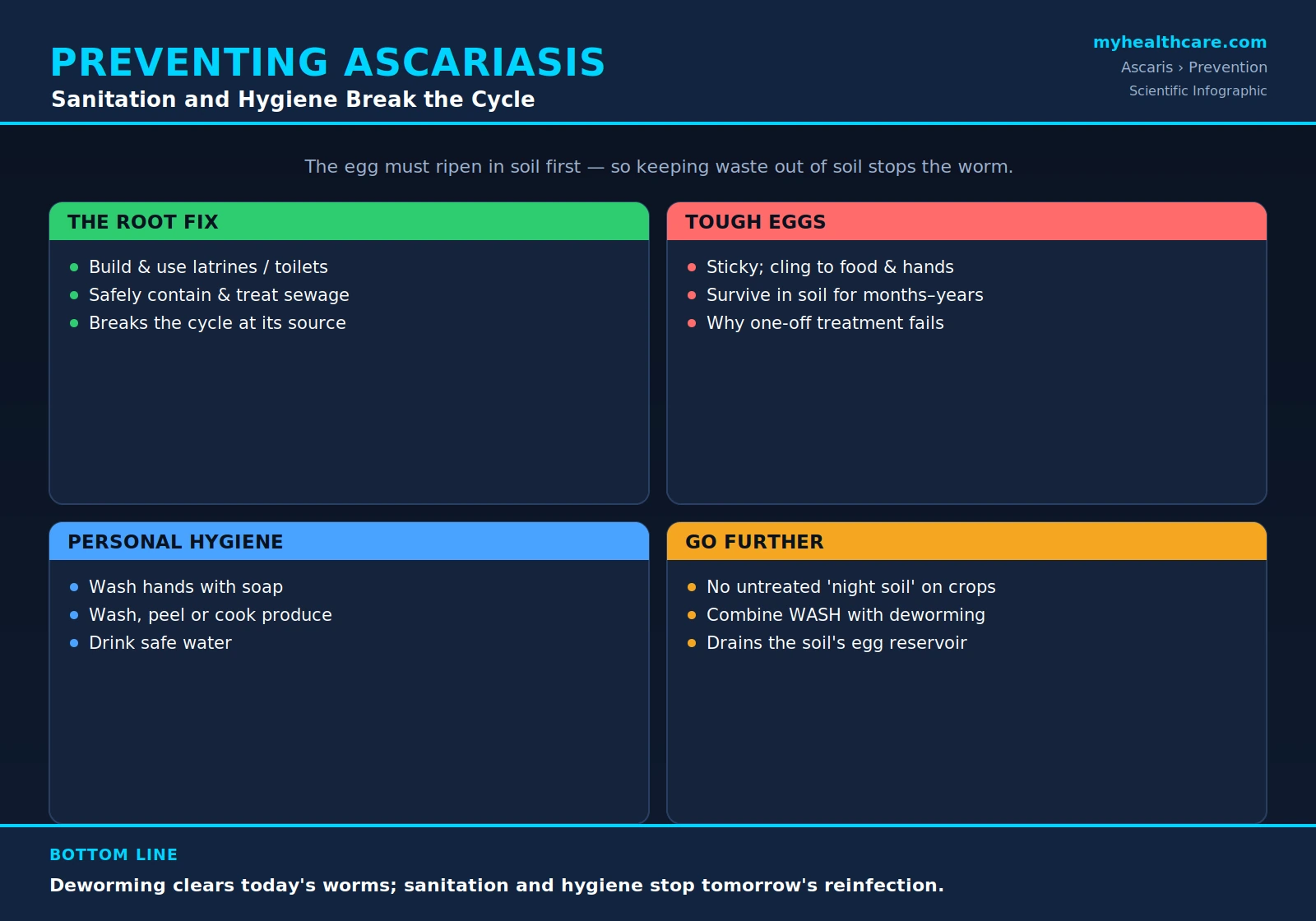 Preventing ascariasis: sanitation and hygiene &mdash; scientific infographic poster
