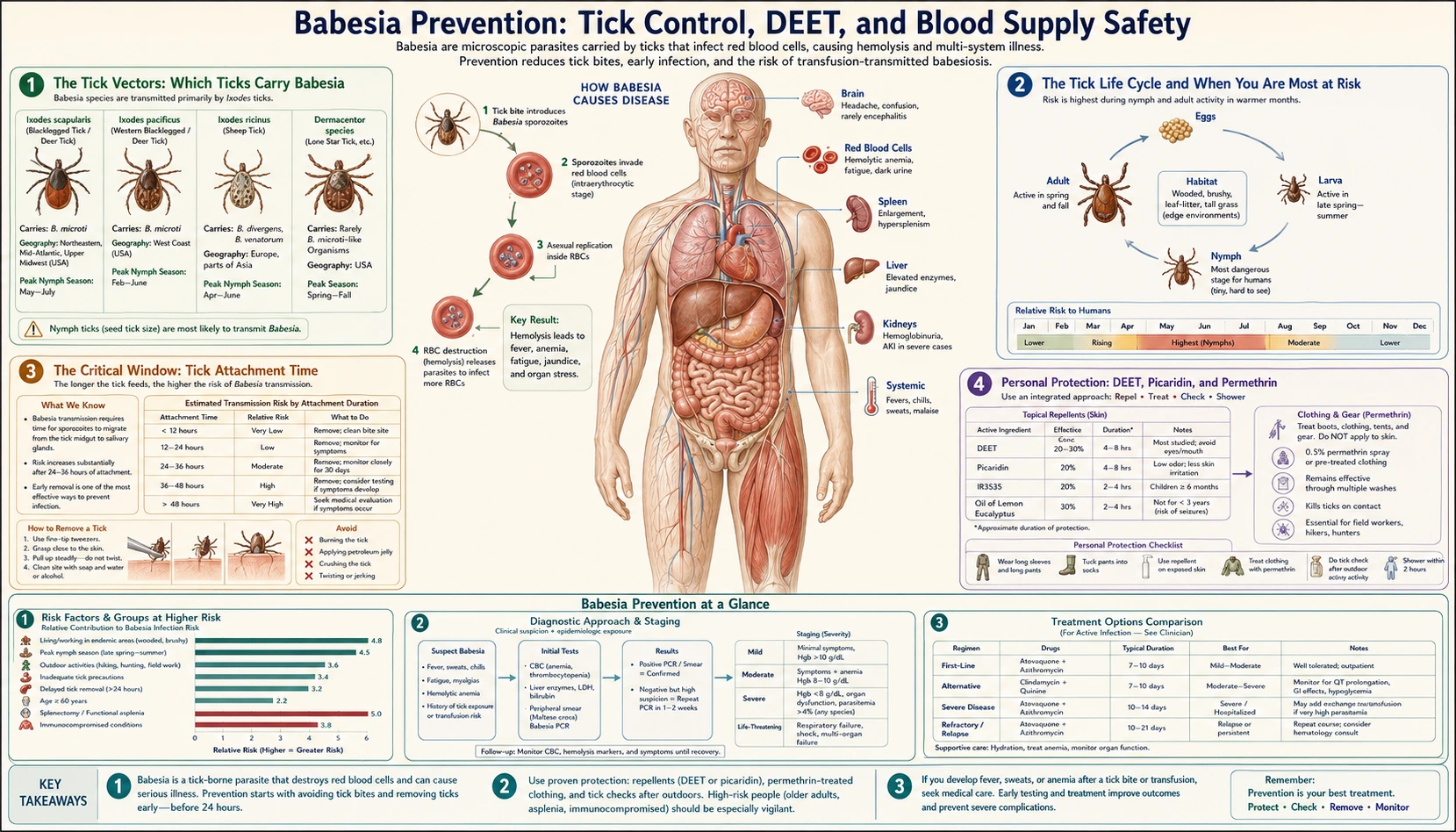 Tick Prevention and Environmental Control — scientific infographic poster