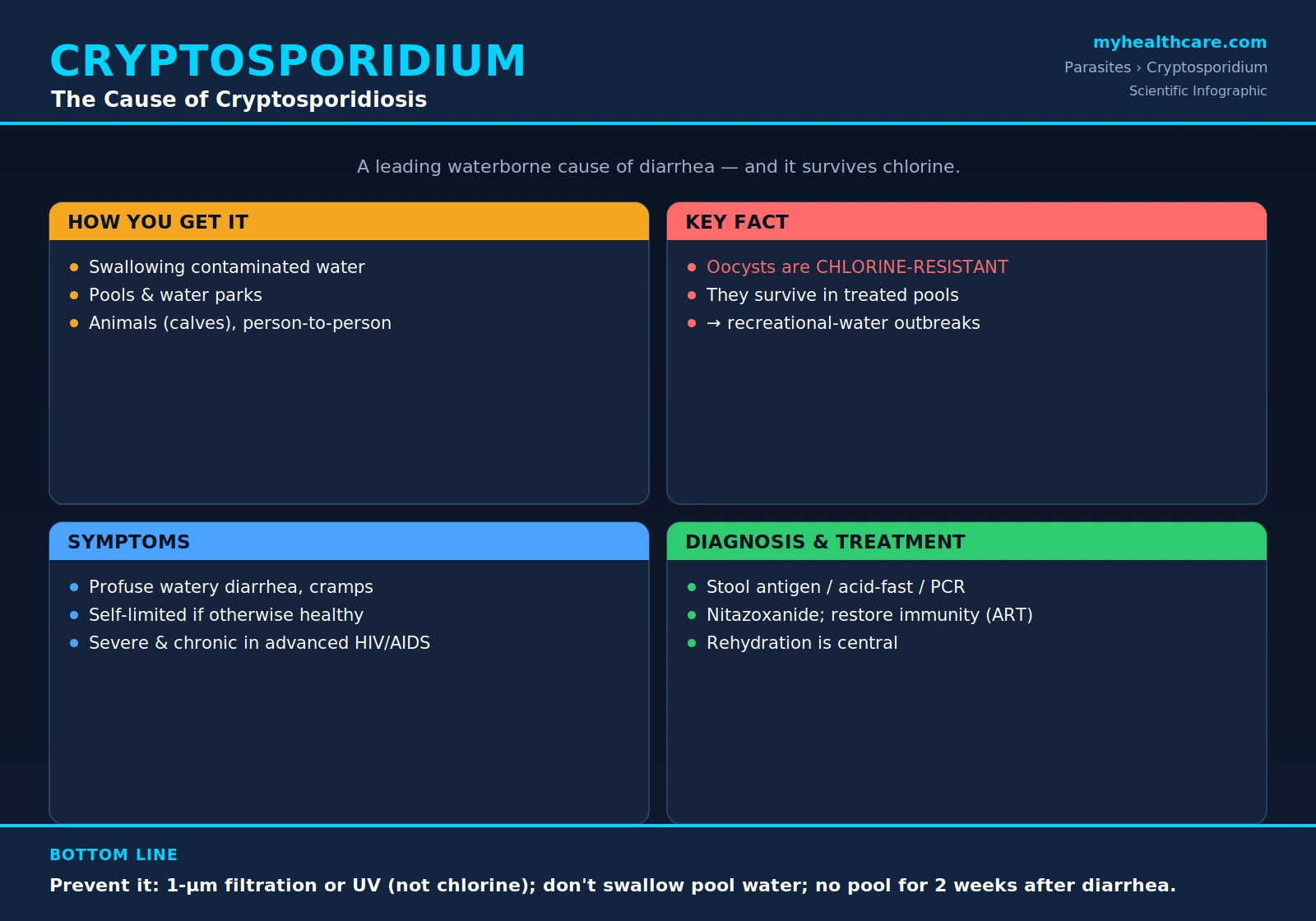 Cryptosporidium — scientific infographic poster