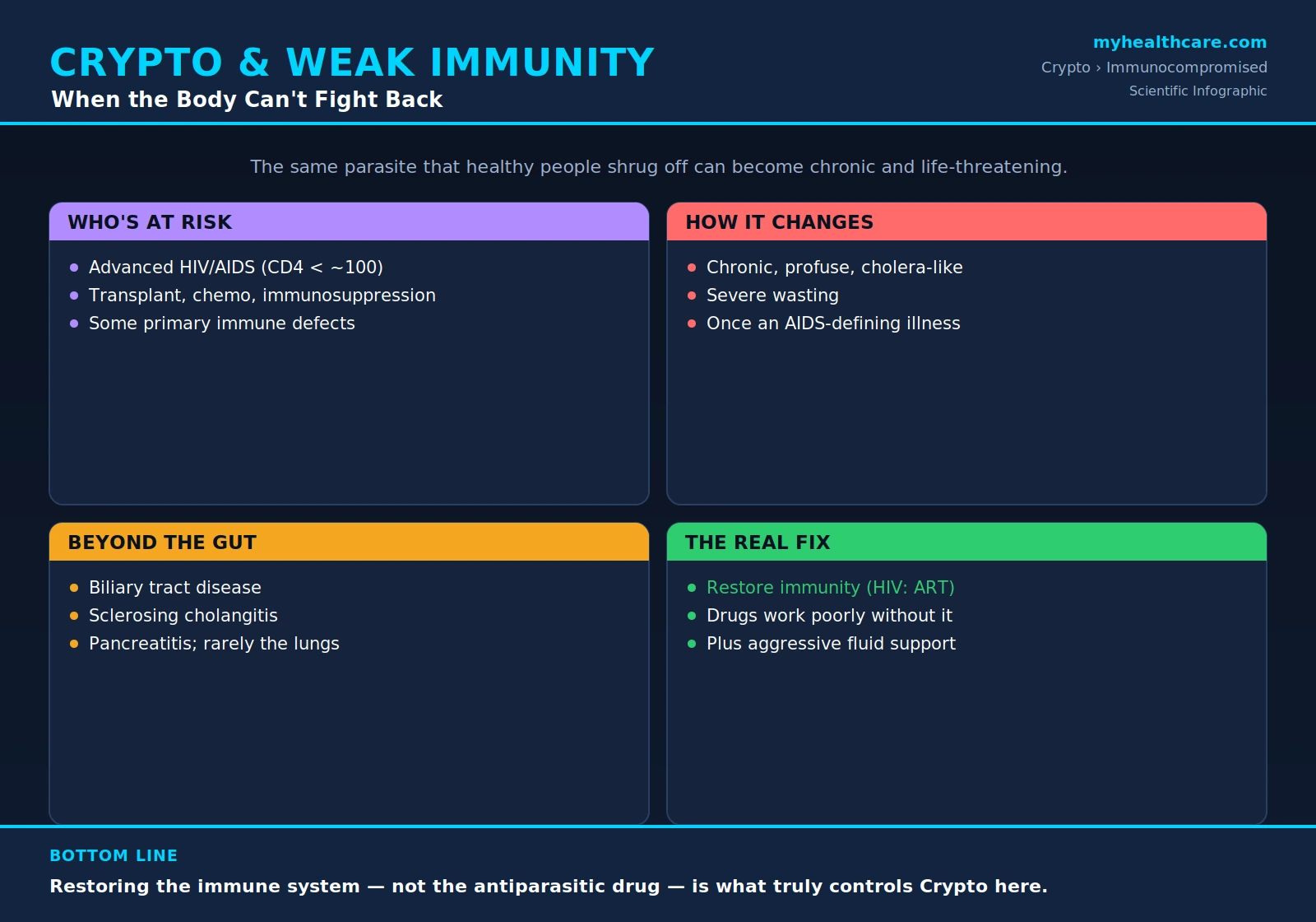 Cryptosporidiosis in the immunocompromised — scientific infographic poster