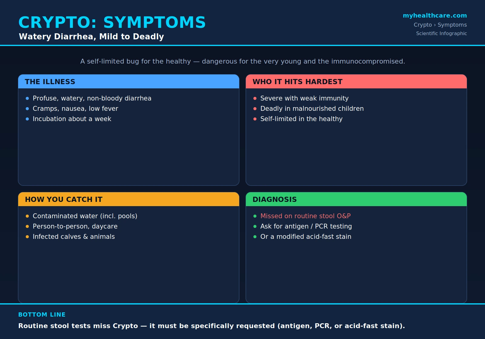 Cryptosporidiosis symptoms and diagnosis — scientific infographic poster
