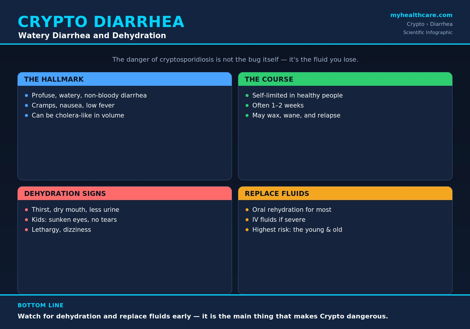 Cryptosporidiosis watery diarrhea and dehydration &mdash; scientific infographic poster
