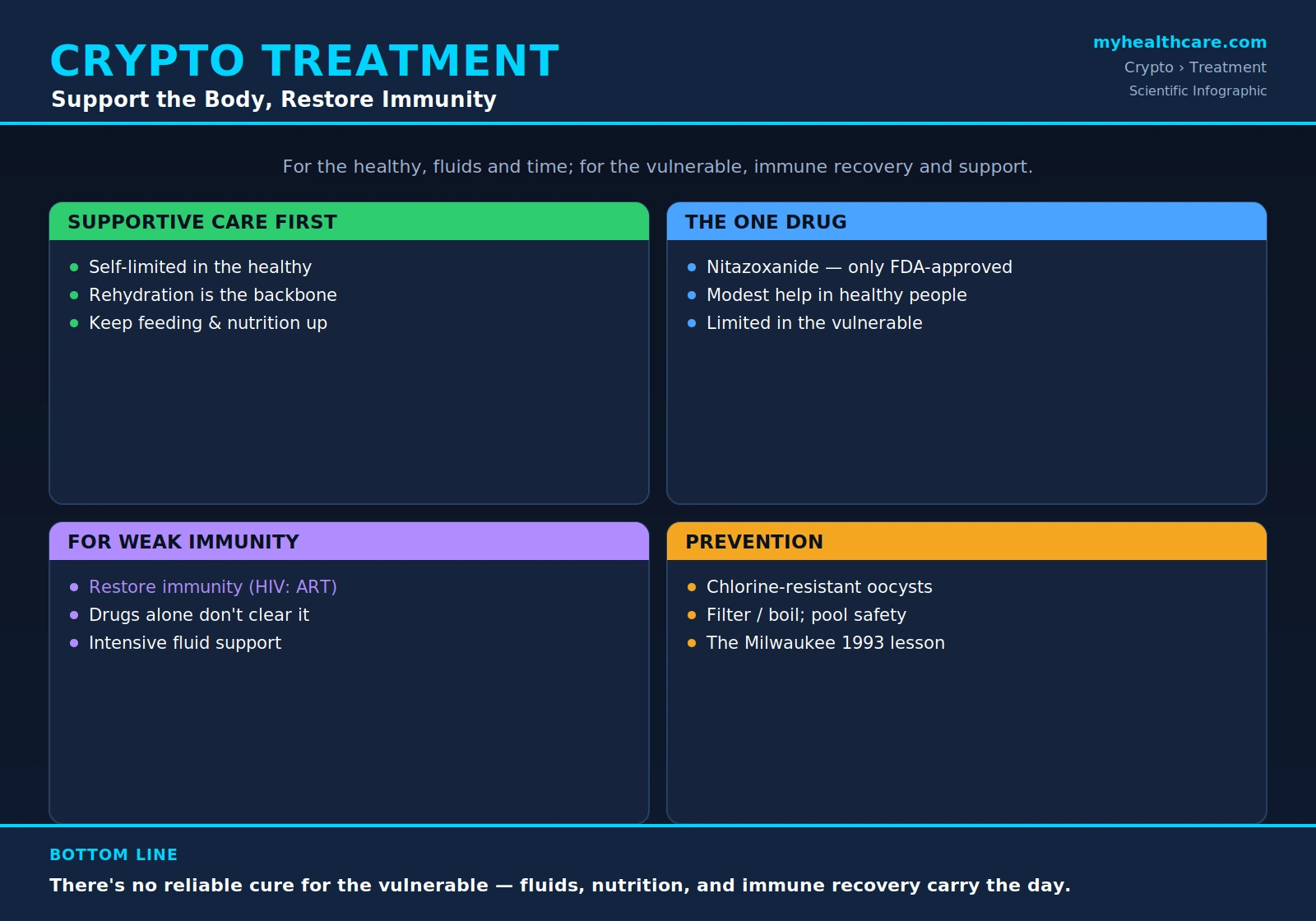 Cryptosporidiosis treatment and prevention — scientific infographic poster