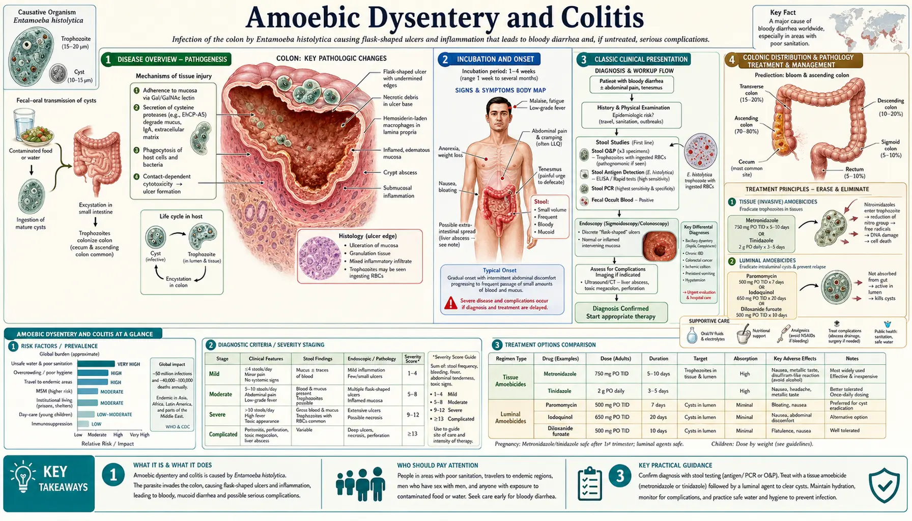Amoebic Dysentery and Colitis — scientific infographic poster