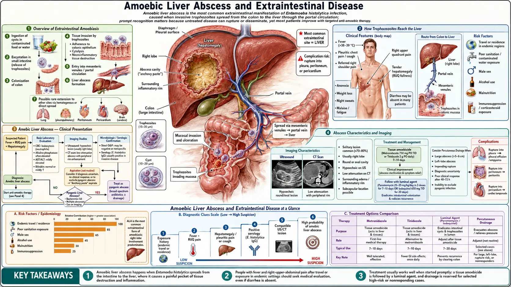 Liver Abscess and Extraintestinal — scientific infographic poster