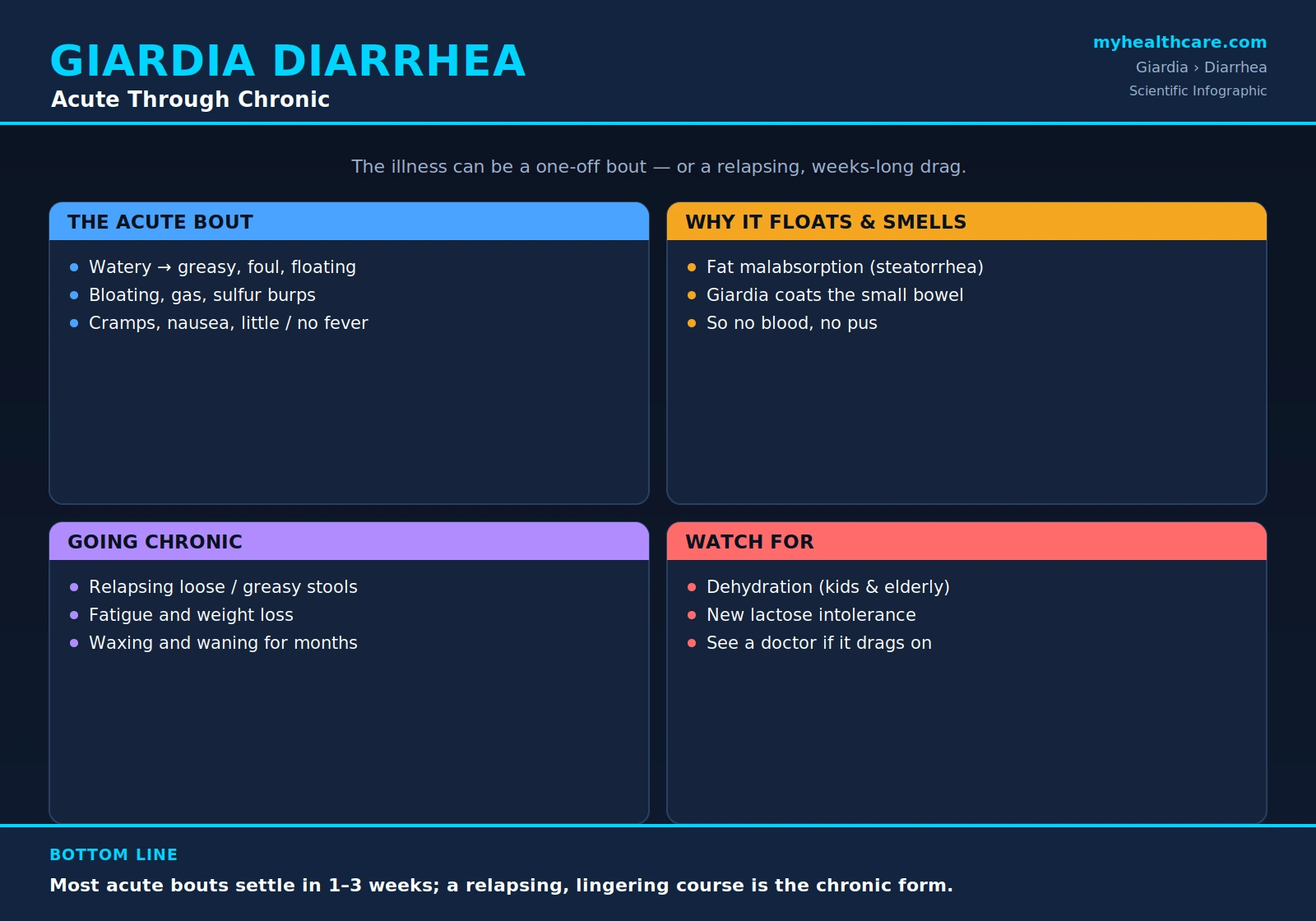 Giardiasis acute and chronic diarrhea — scientific infographic poster