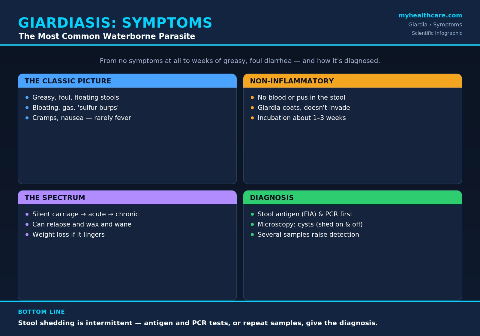Giardiasis symptoms and diagnosis — scientific infographic poster