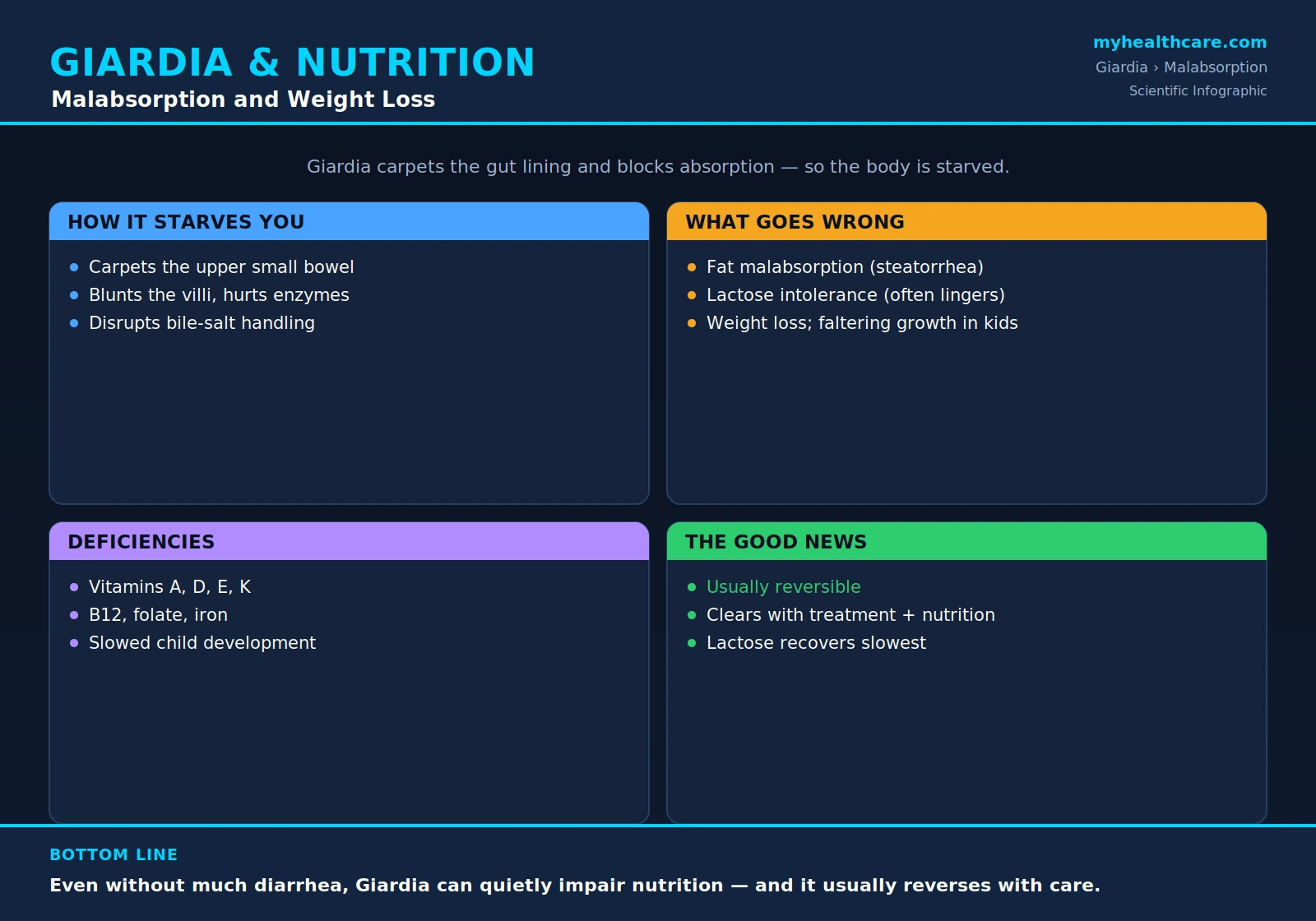 Giardiasis malabsorption and weight loss — scientific infographic poster