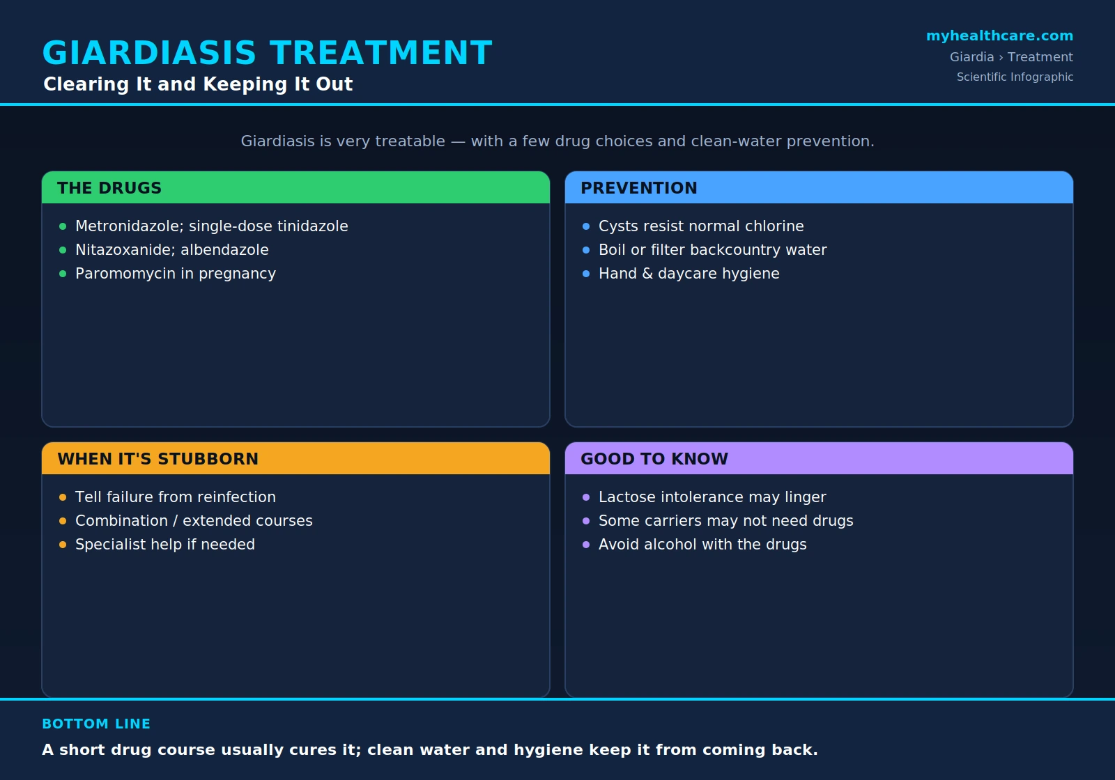 Giardiasis treatment and prevention — scientific infographic poster
