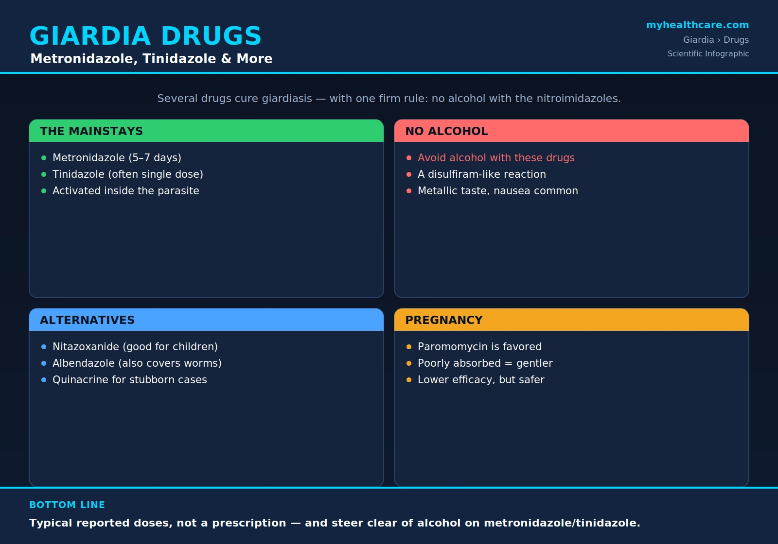 Giardiasis treatment with metronidazole, tinidazole, and alternatives — scientific infographic poster