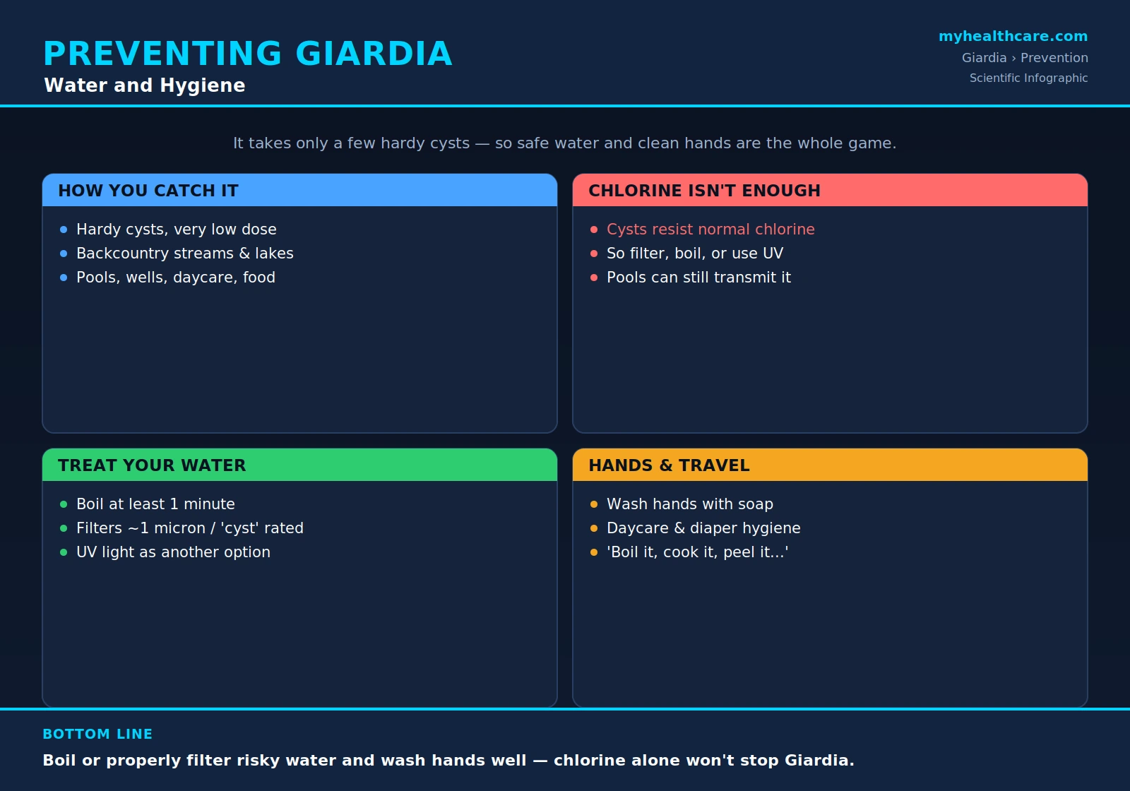 Preventing giardiasis: water and hygiene — scientific infographic poster