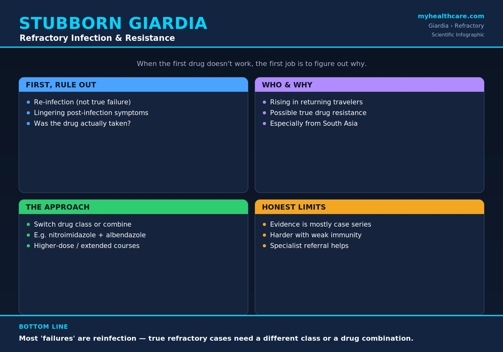 Refractory giardiasis and drug resistance — scientific infographic poster