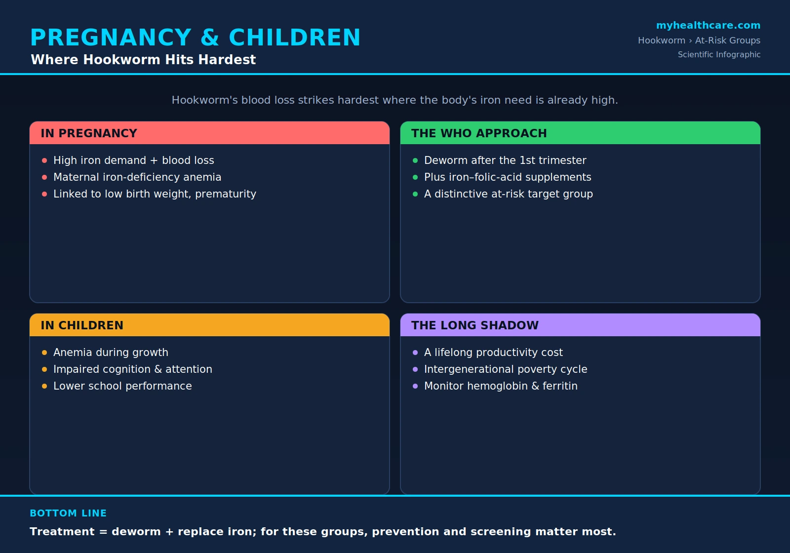 Hookworm in pregnancy and children — scientific infographic poster