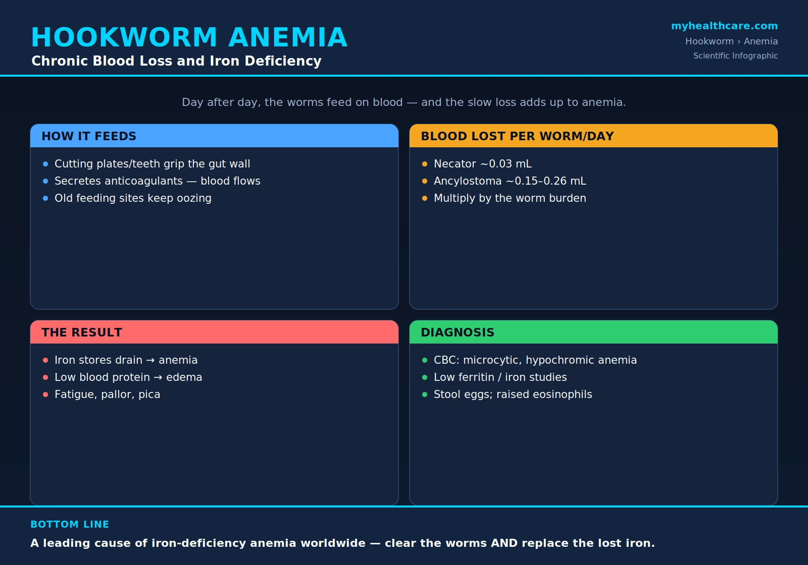 Hookworm, iron-deficiency anemia, and blood loss &mdash; scientific infographic poster