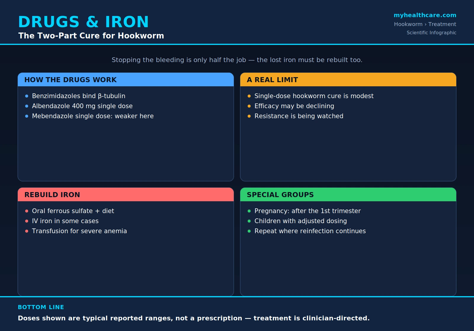 Hookworm treatment: anthelmintic drugs and iron repletion — scientific infographic poster