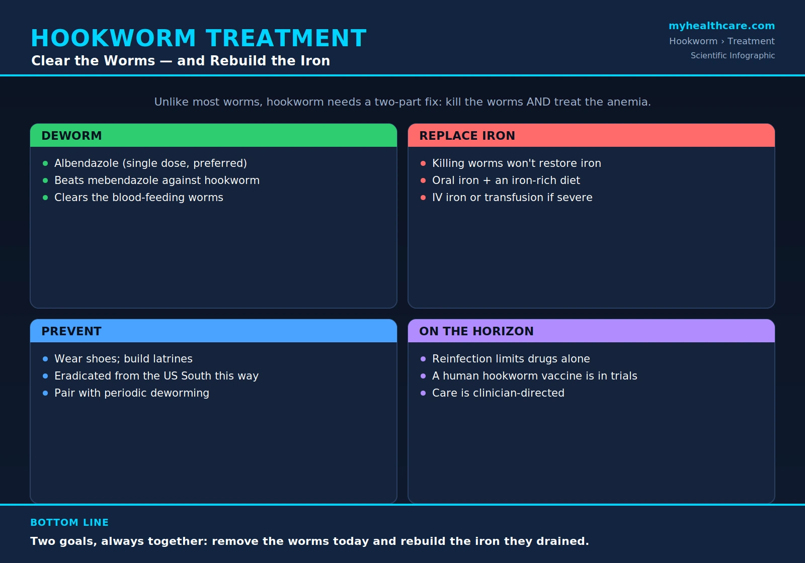Hookworm treatment and prevention — scientific infographic poster