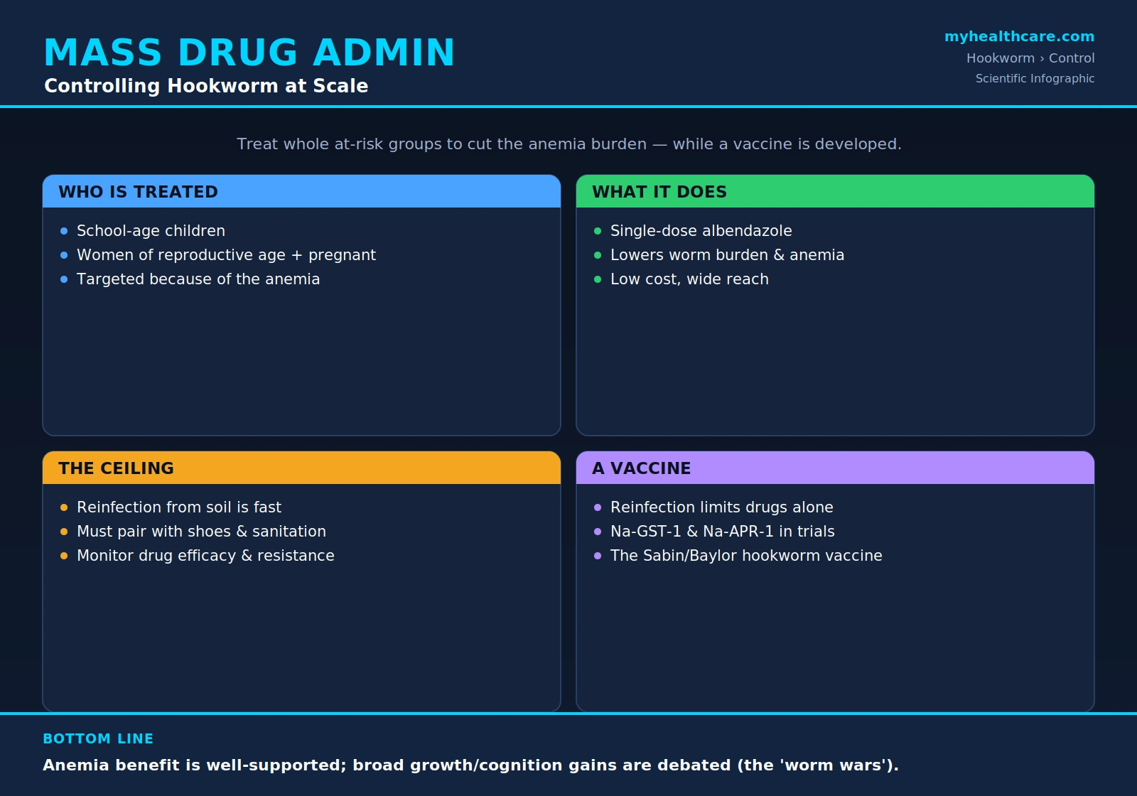 Mass drug administration and hookworm control — scientific infographic poster