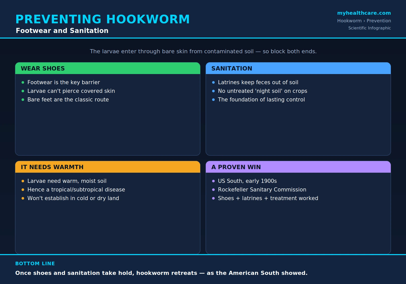 Preventing hookworm: footwear and sanitation — scientific infographic poster
