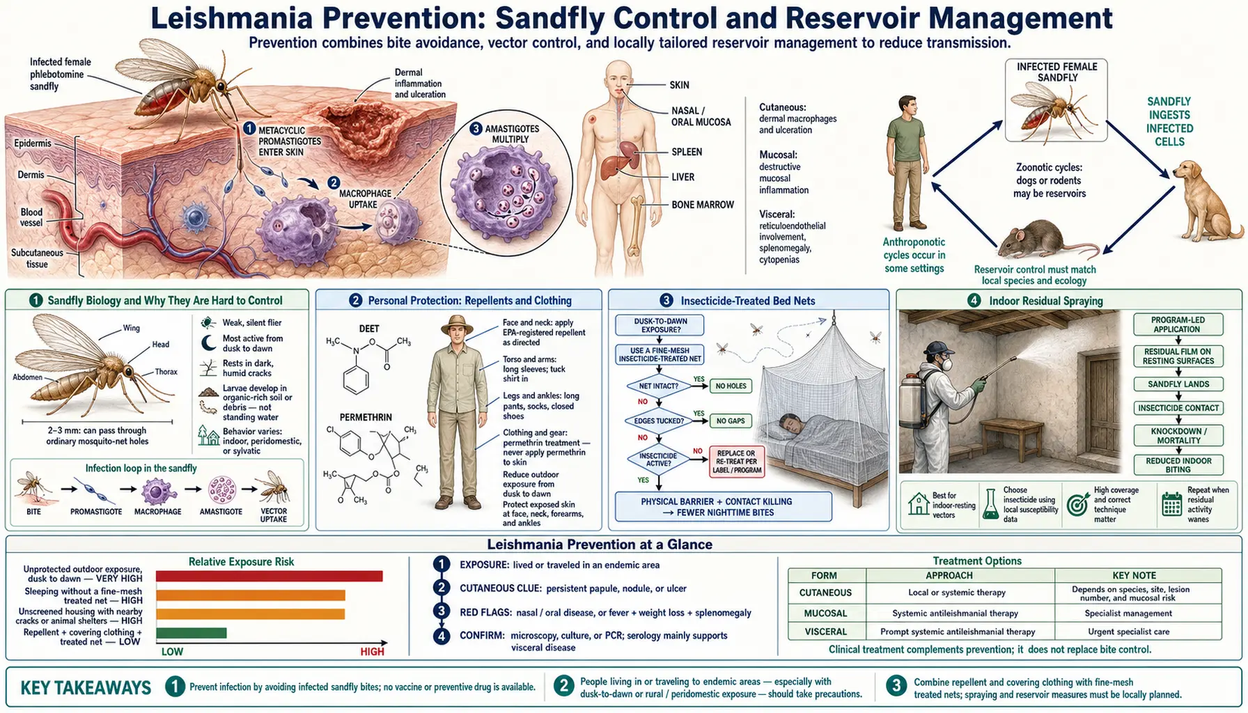 Prevention and Vector Control — scientific infographic poster