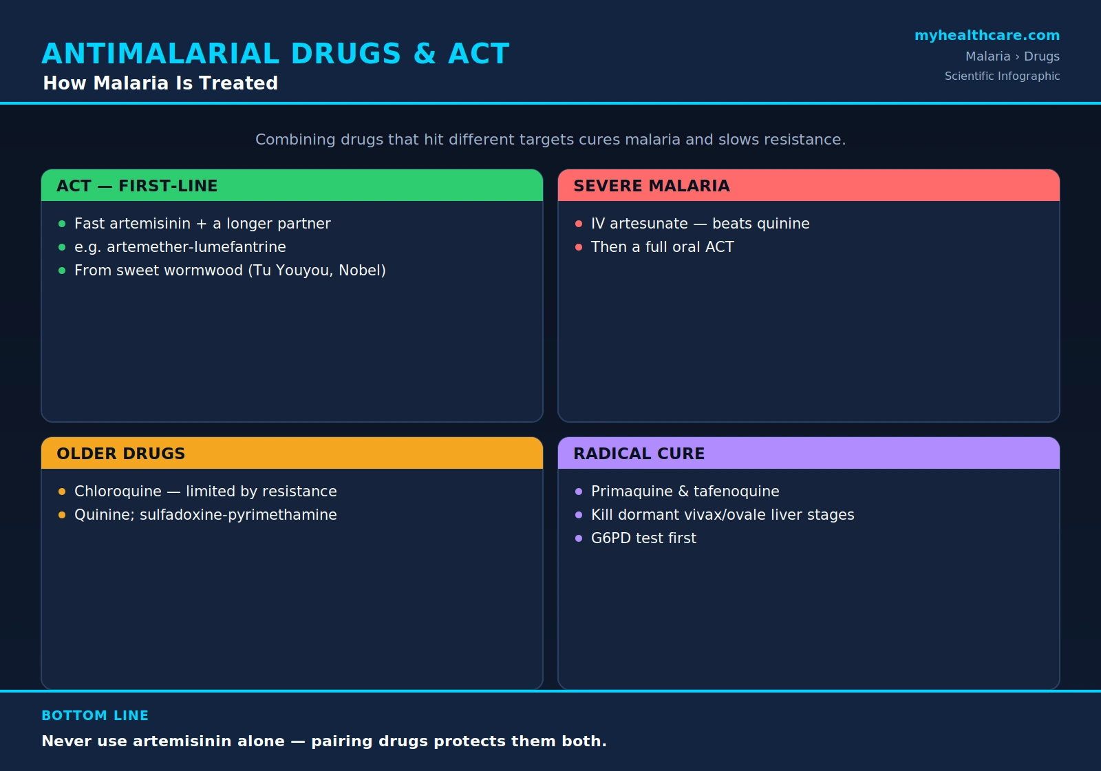 Antimalarial drugs and ACT — scientific infographic poster