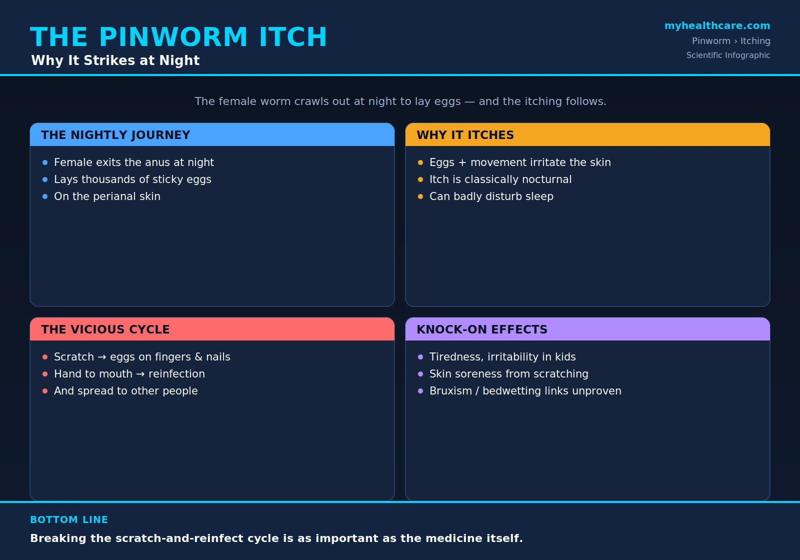 Pinworm anal itching and sleep disturbance — scientific infographic poster