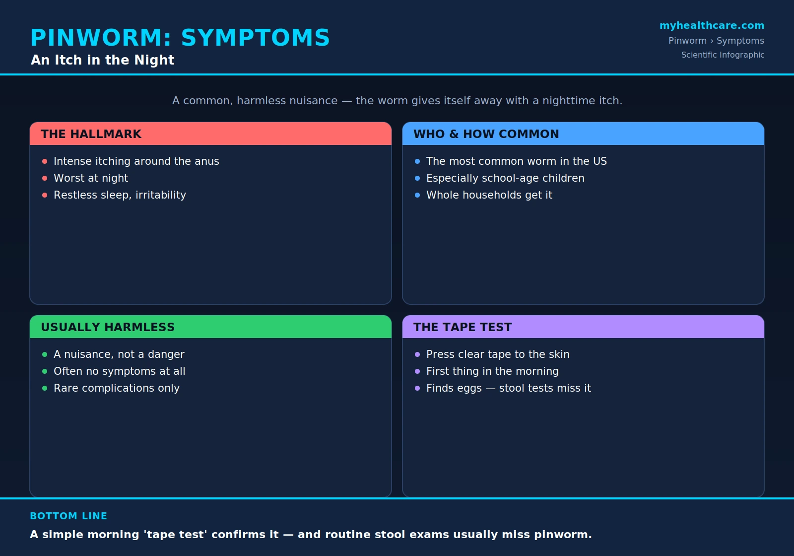 Pinworm symptoms and diagnosis — scientific infographic poster