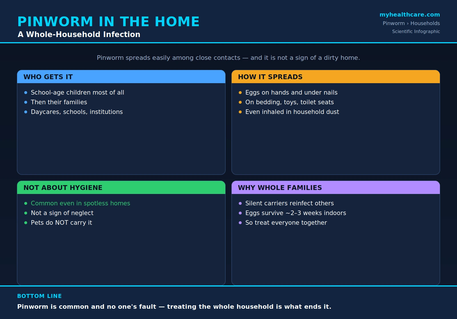 Pinworm in children and households — scientific infographic poster