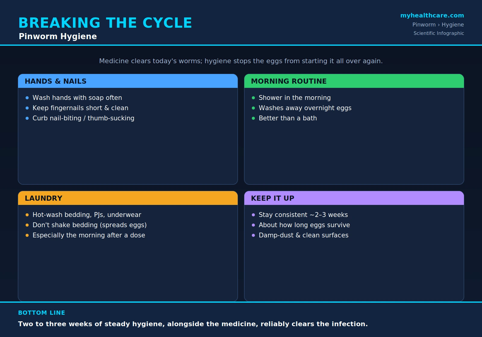 Pinworm hygiene and preventing reinfection — scientific infographic poster