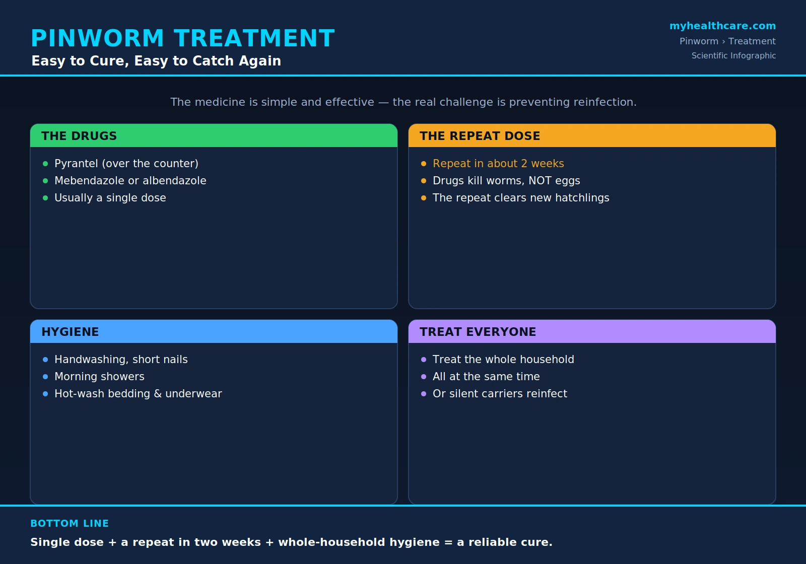 Pinworm treatment and prevention — scientific infographic poster