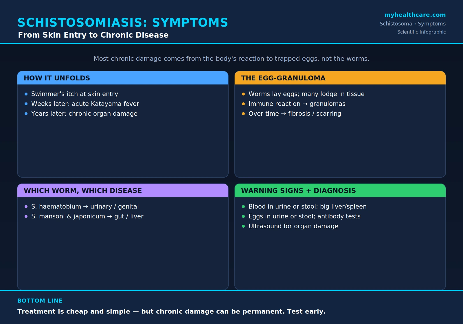 Schistosomiasis symptoms and diagnosis — scientific infographic poster