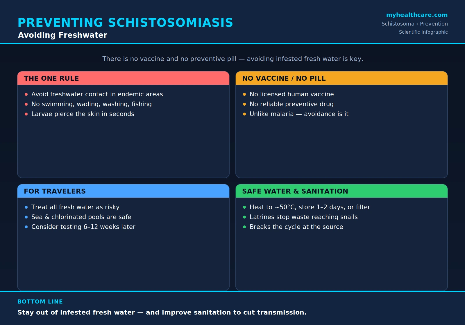Preventing schistosomiasis — scientific infographic poster